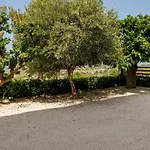 I Due Gelsi White Monte San Giusto