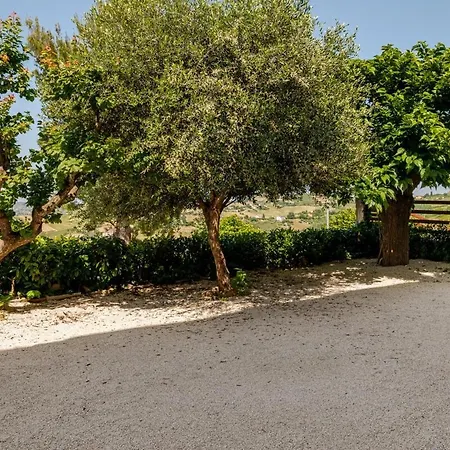 I Due Gelsi White Monte San Giusto