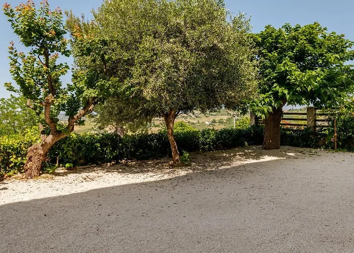 I Due Gelsi White Monte San Giusto